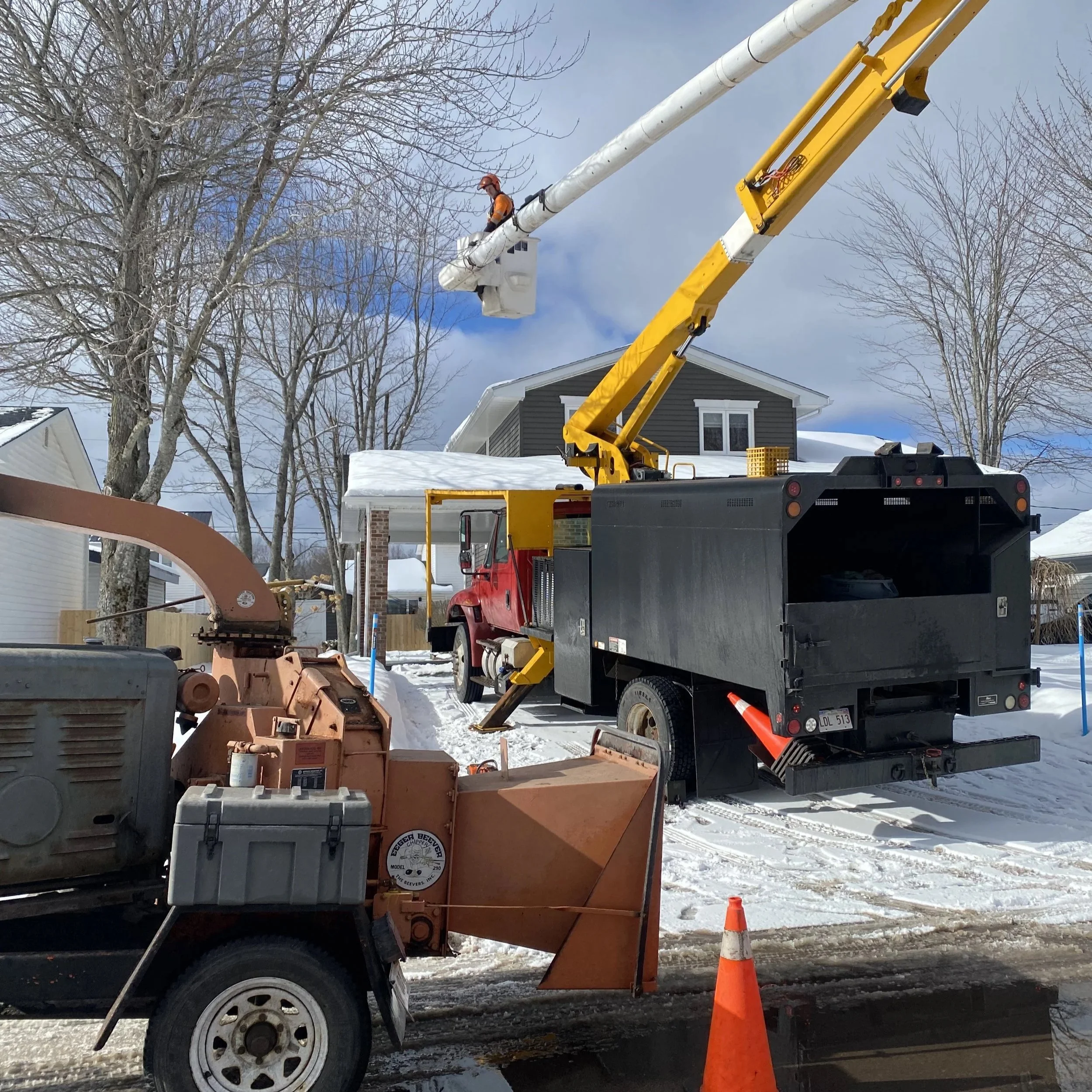 Professional tree care company using bucket truck and chipper to safely prune and maintain mature maple trees in Moncton New Brunswick