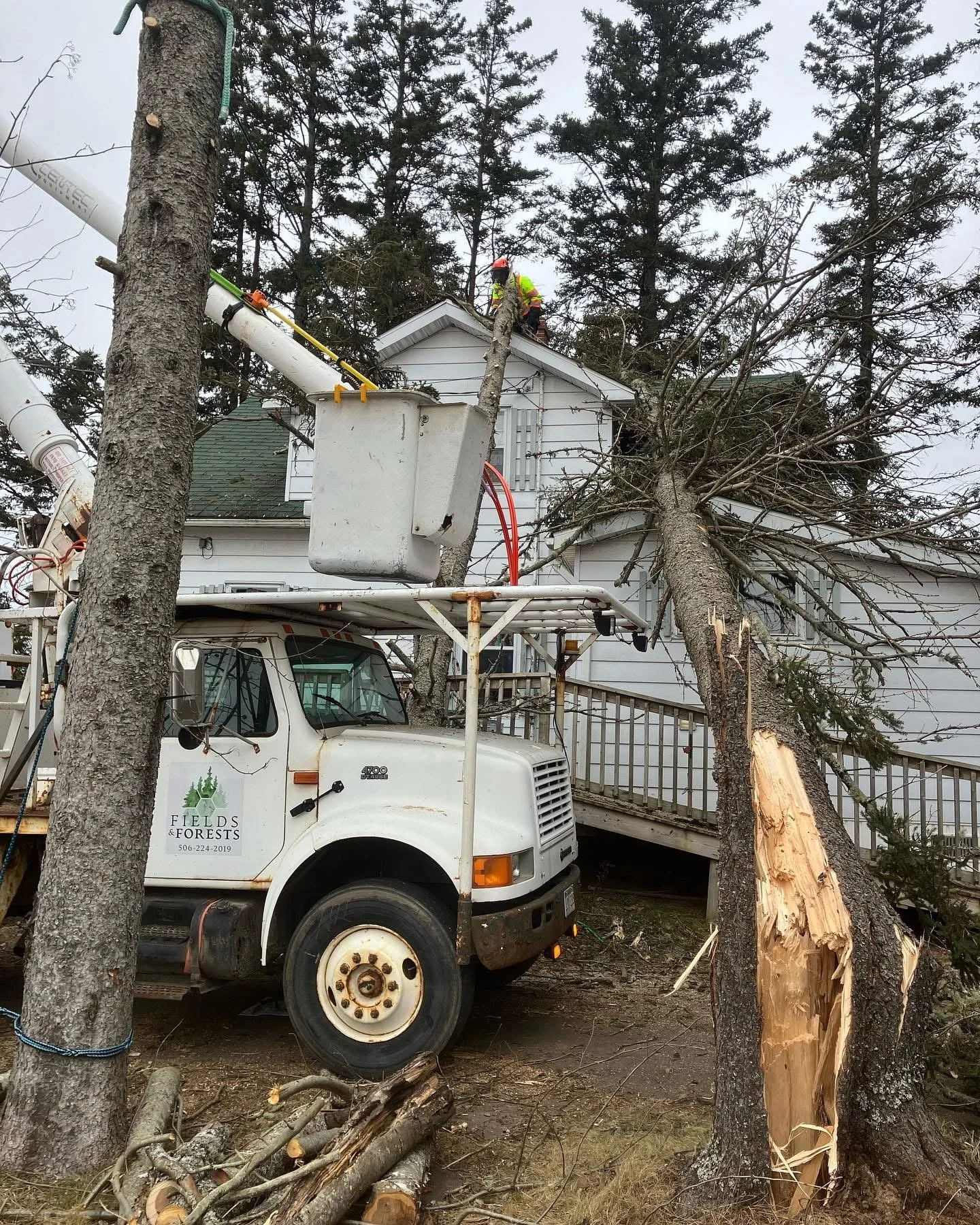 24/7 Emergency Tree Care & Storm Response