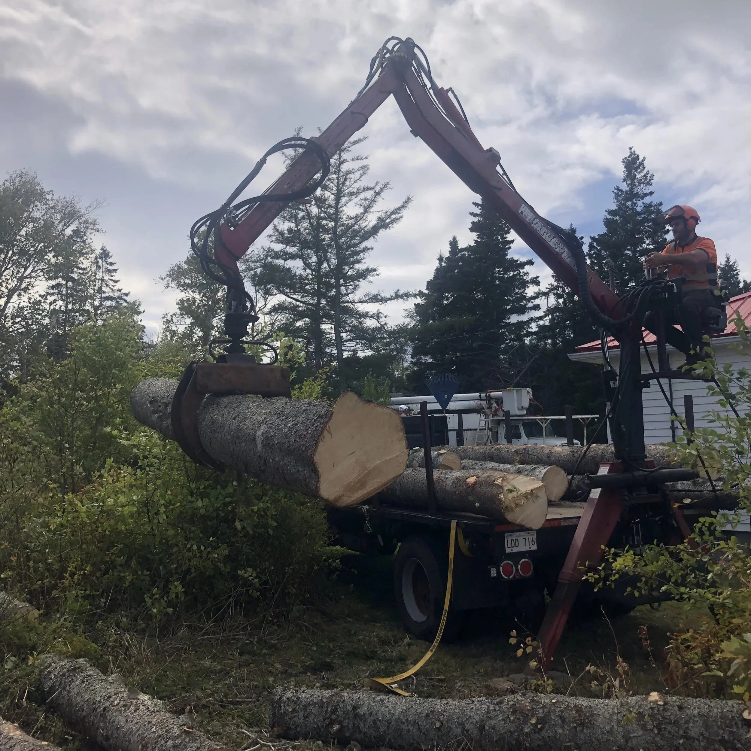 certified arborist using log loader to remove logs after multiple removals off of a property in tidnish nova scotia