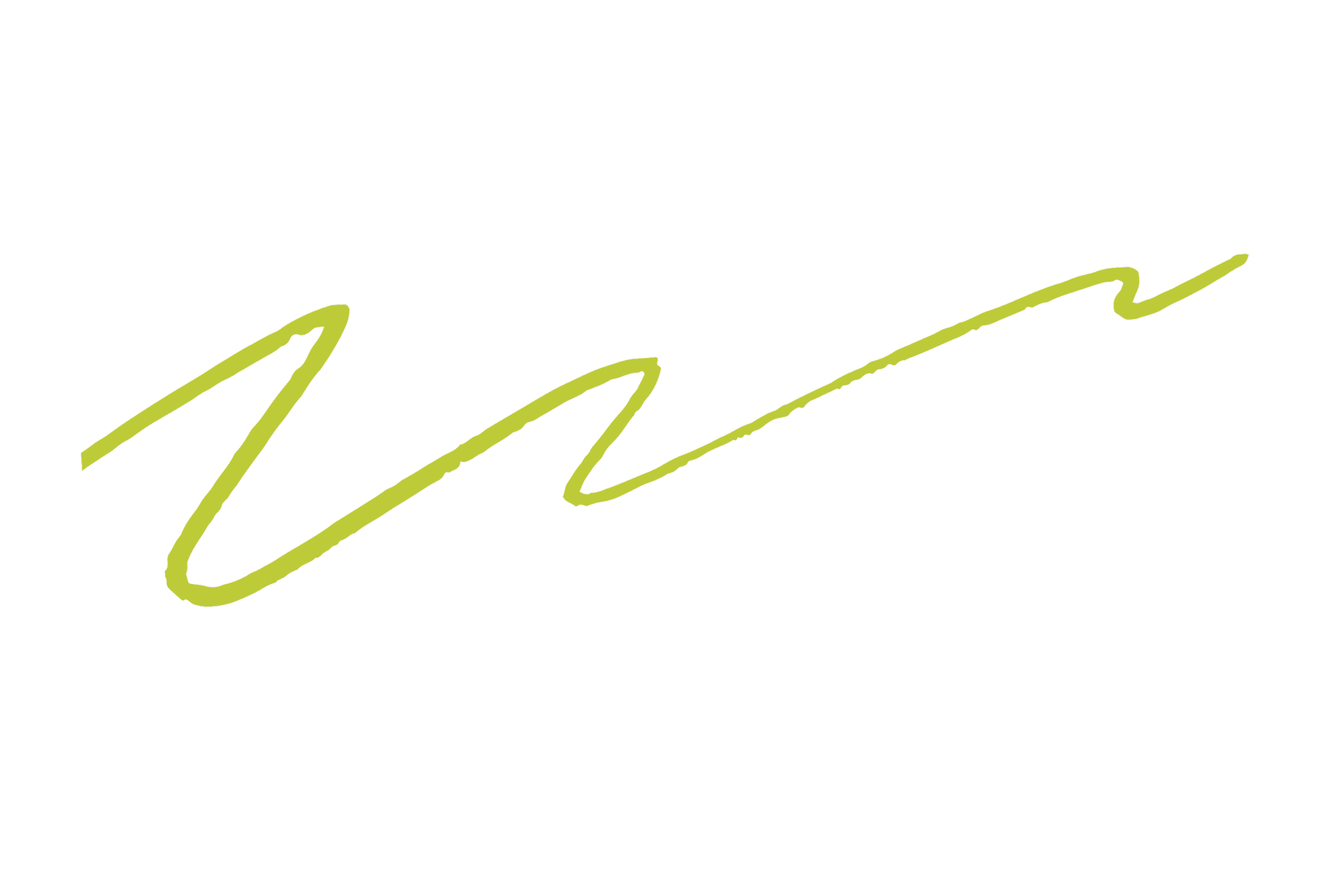 Squiggle Line to highlight website copywriting packages