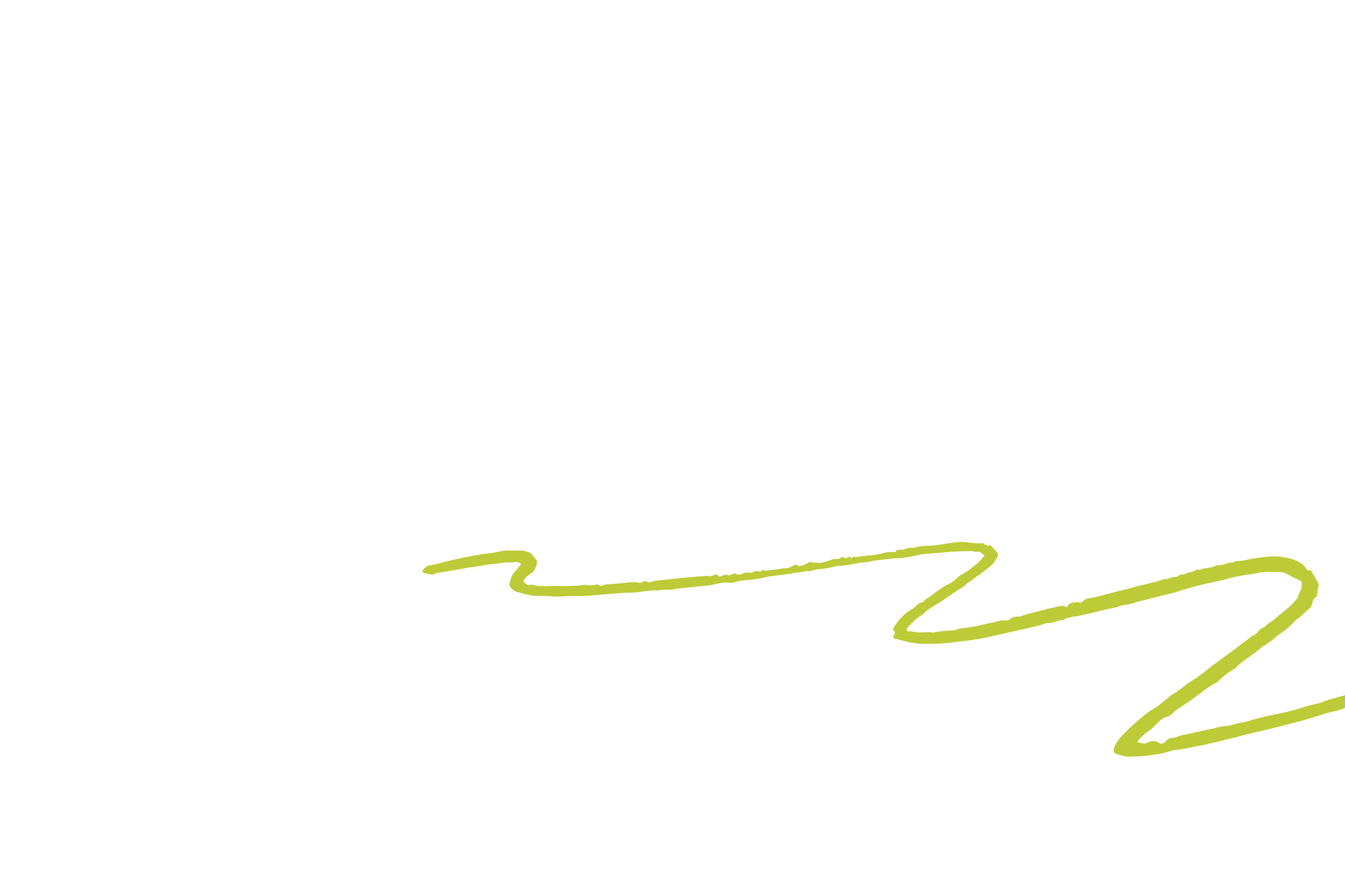 Decorative Squiggle
