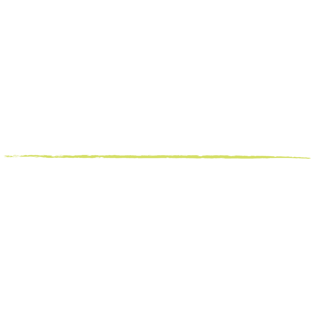 Decorative divider line