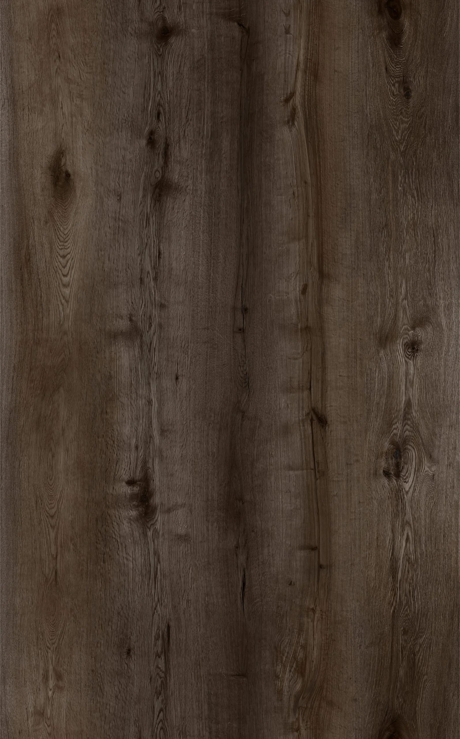 Oak Charcoal