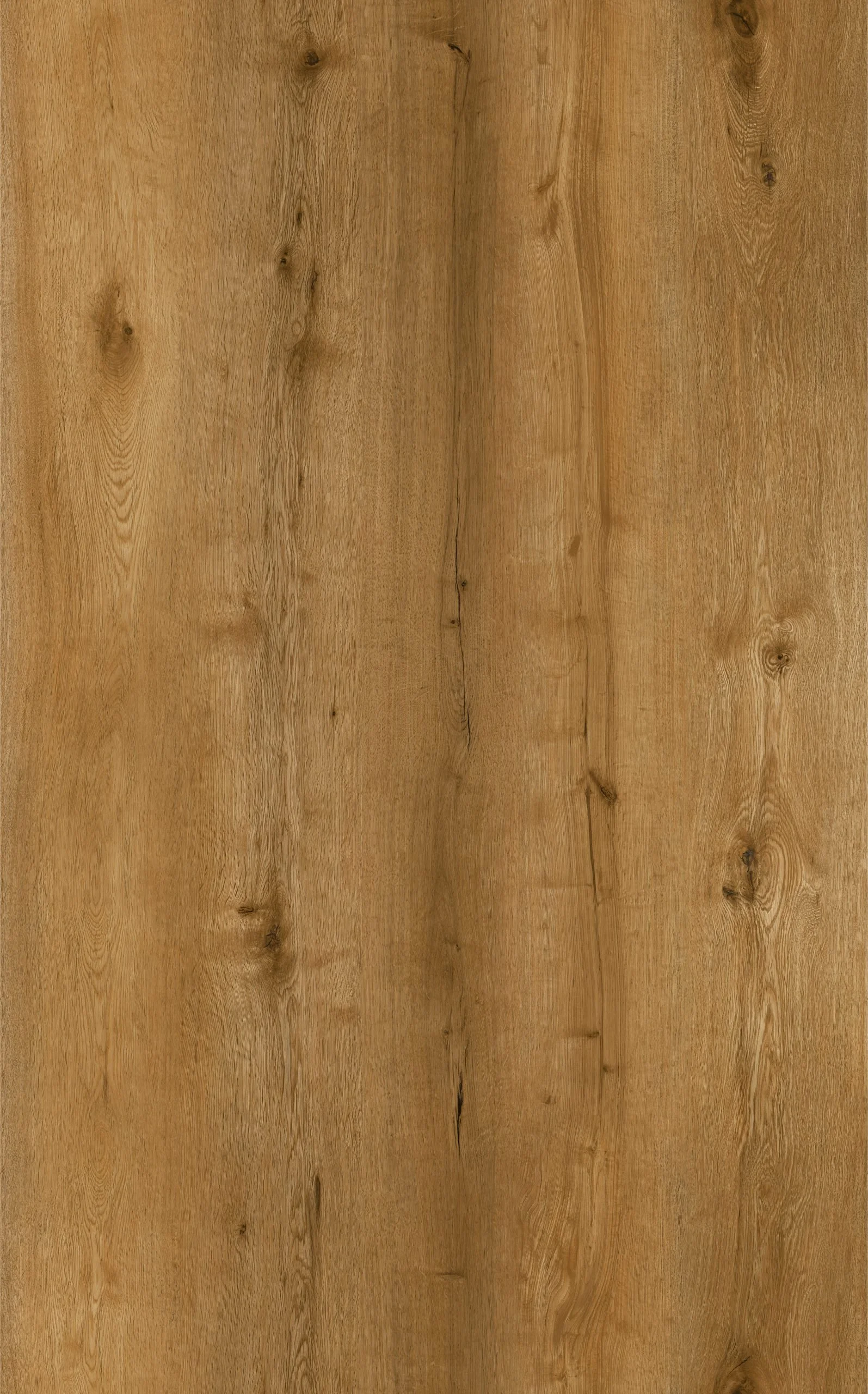 Oak Golden