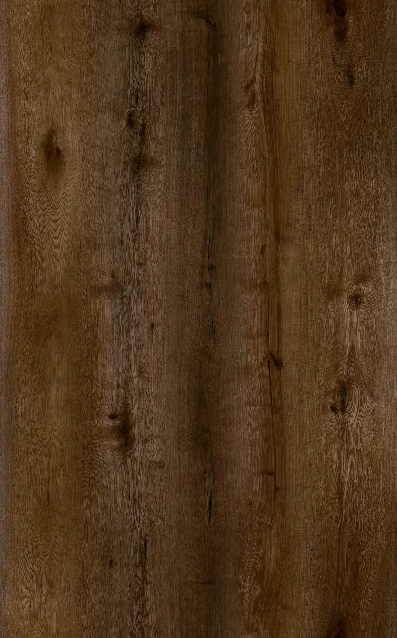 Oak Mocha