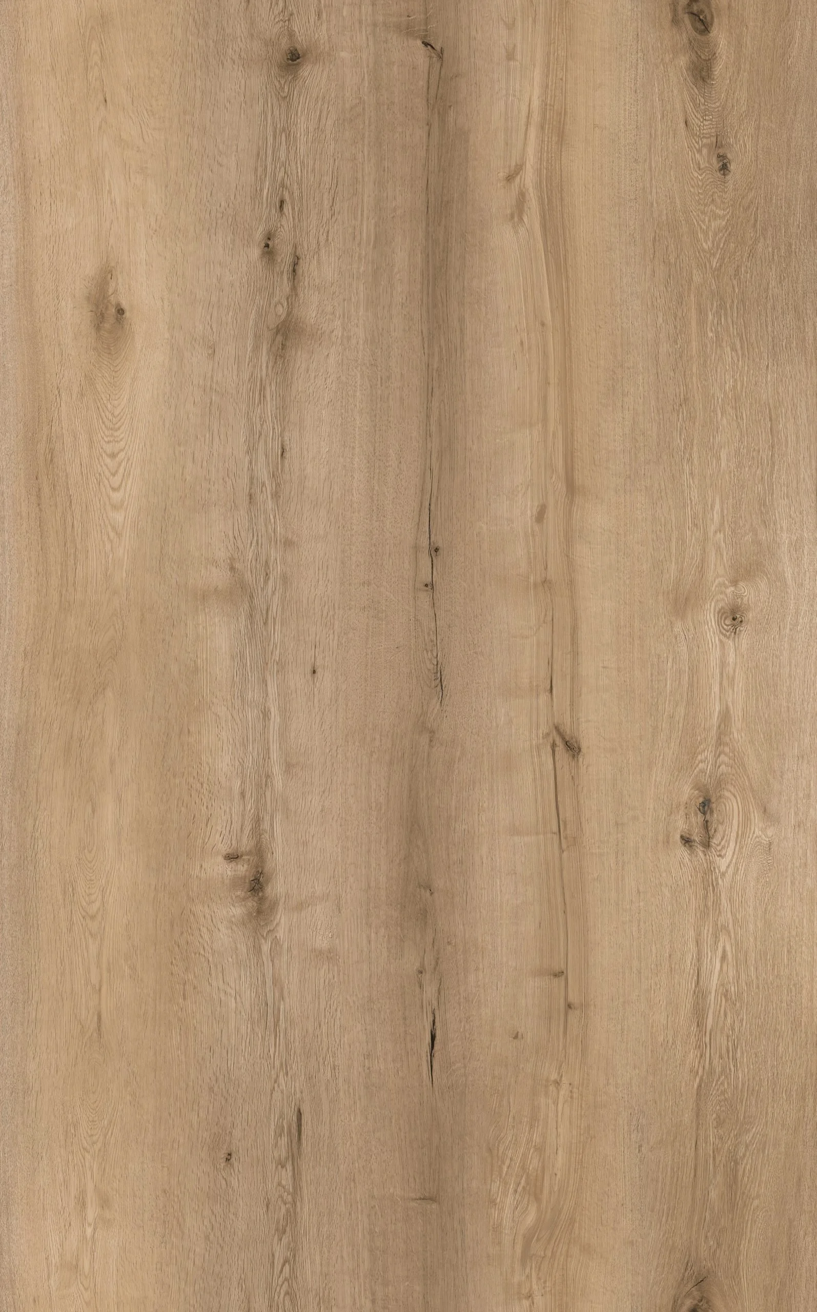 Oak Champagne