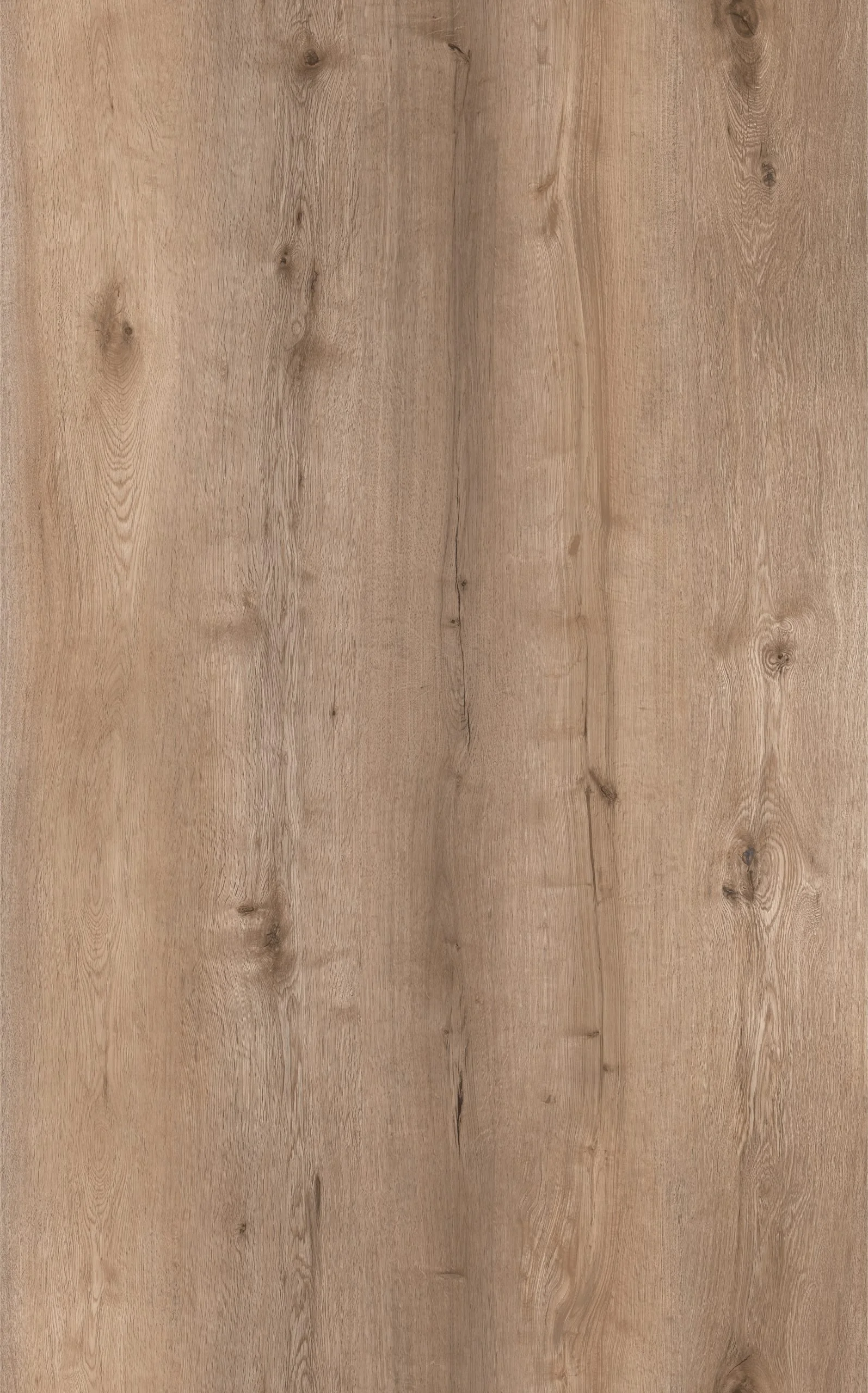 Oak Misty
