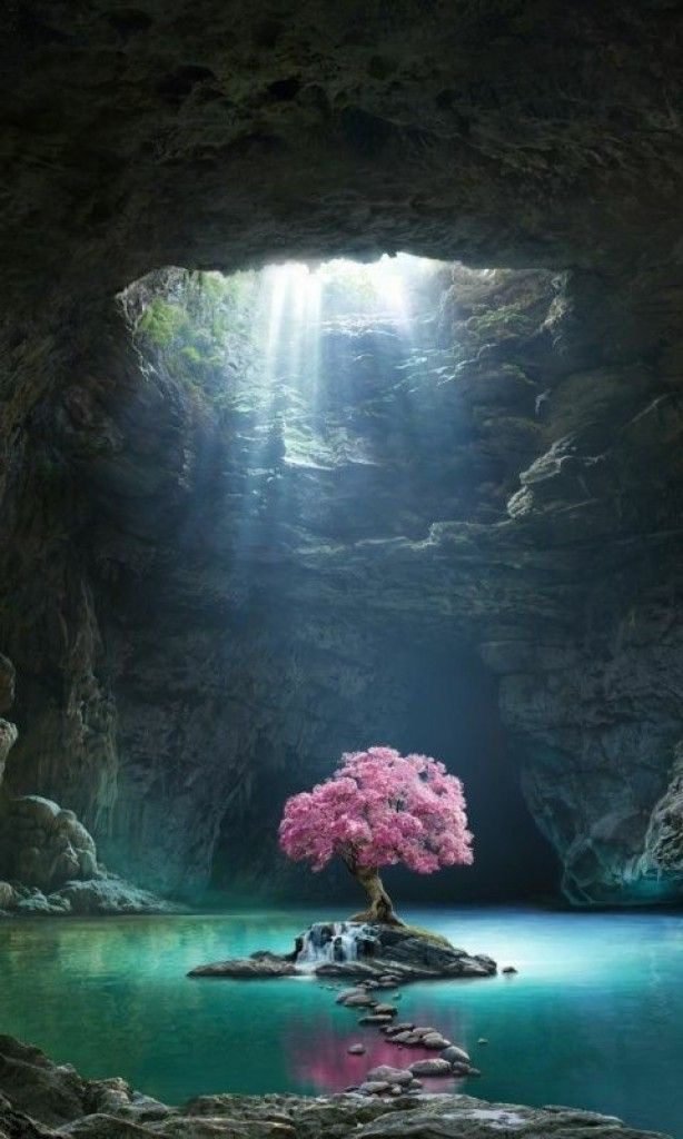 A pink blossom tree on a small rock island surrounded by clear blue water inside a large cave with sunlight streaming through an opening Kismet is an intuitive living institute located in Venice, California, offering workshops, healing sessions, and