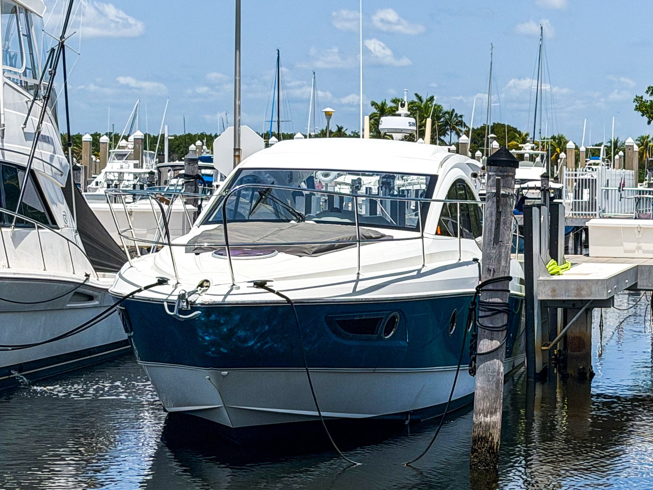 03-bow.jpg