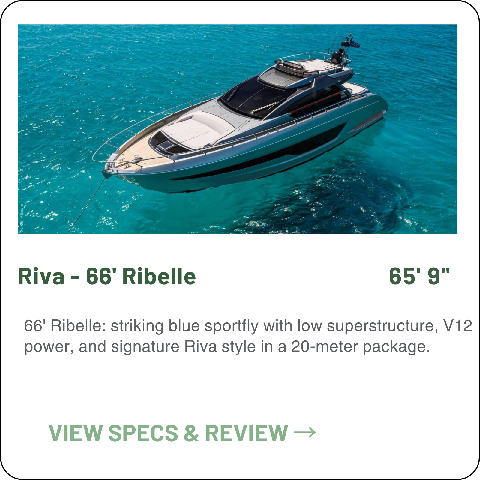 Riva - 66' Ribelle.png