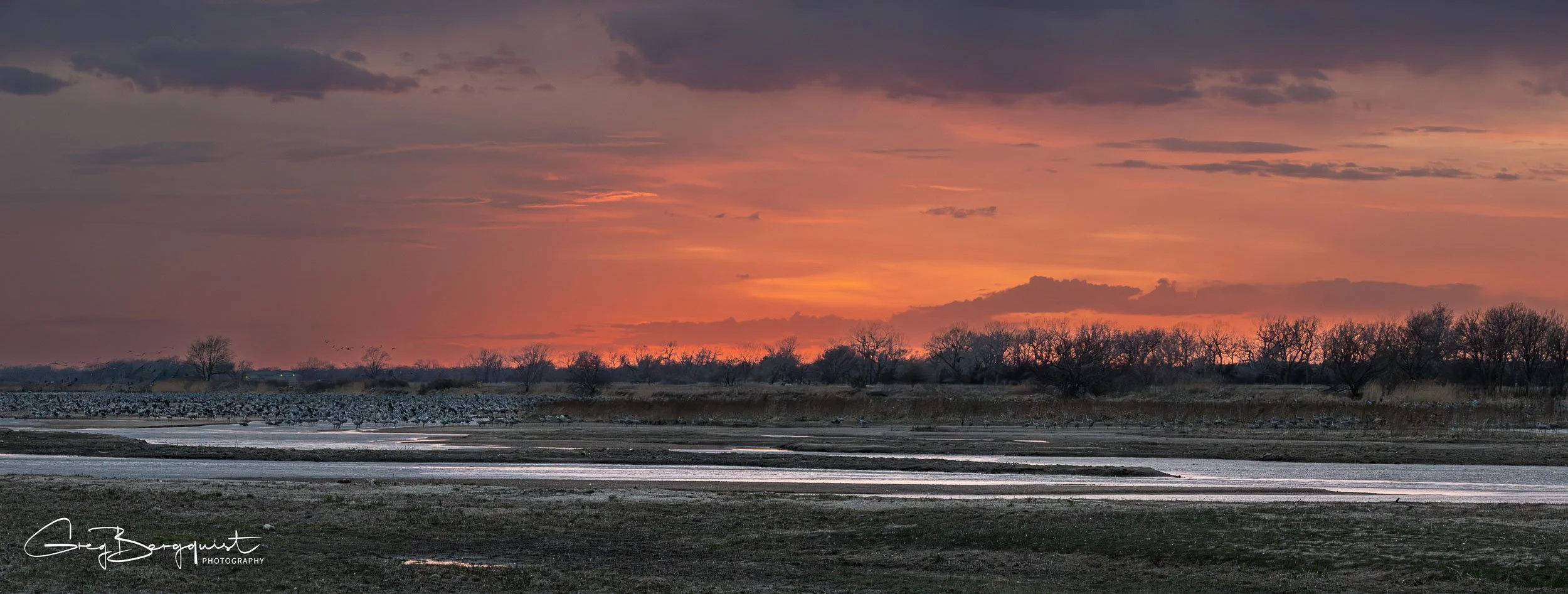 Landscapes-6.jpg