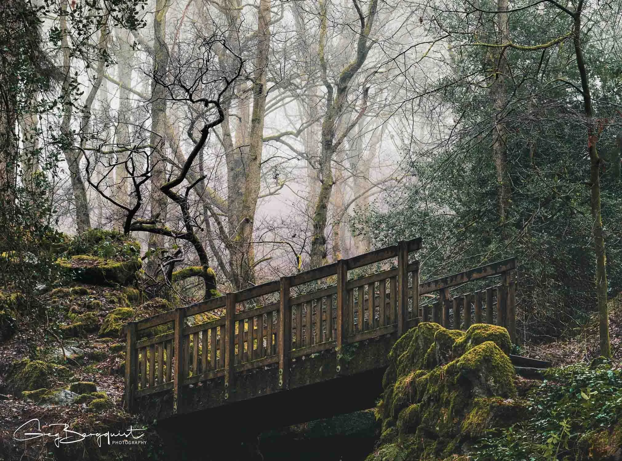 Landscapes and Woodlands