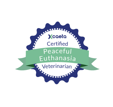 euthanasia in home veterinary