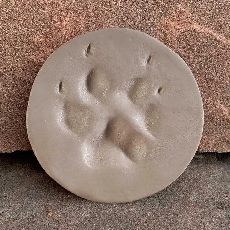 A sculpted circular stone with an impression resembling a dog's paw print. The stone is resting on a rough textured surface.