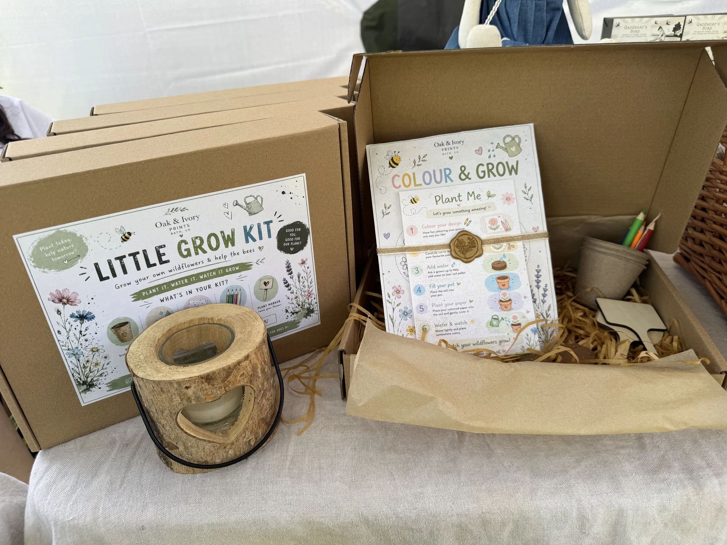 Plantable Wildflower Grow Kit