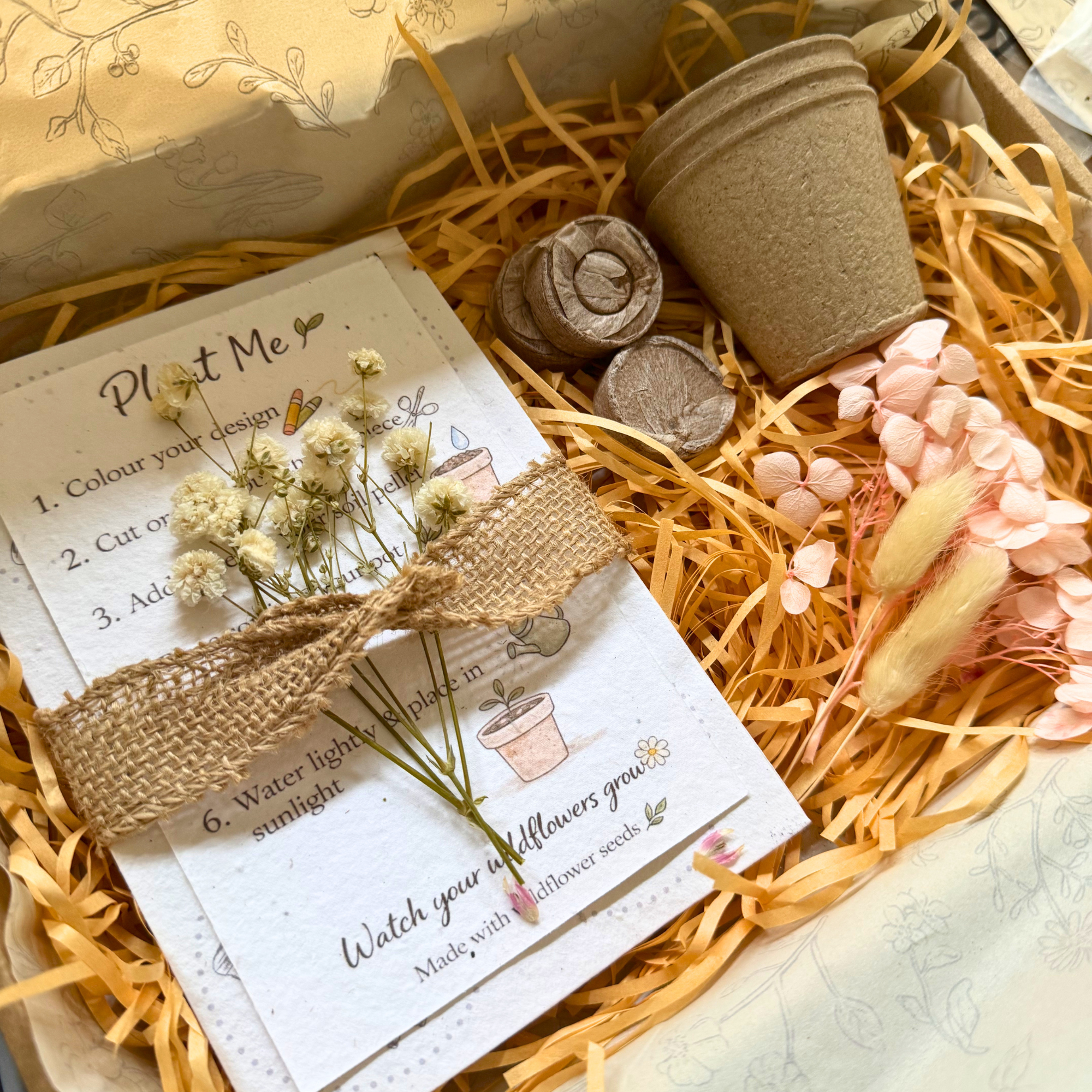 Plantable Wildflower Grow Kit