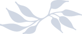 Silhouette of a branch with leaves on a dark background