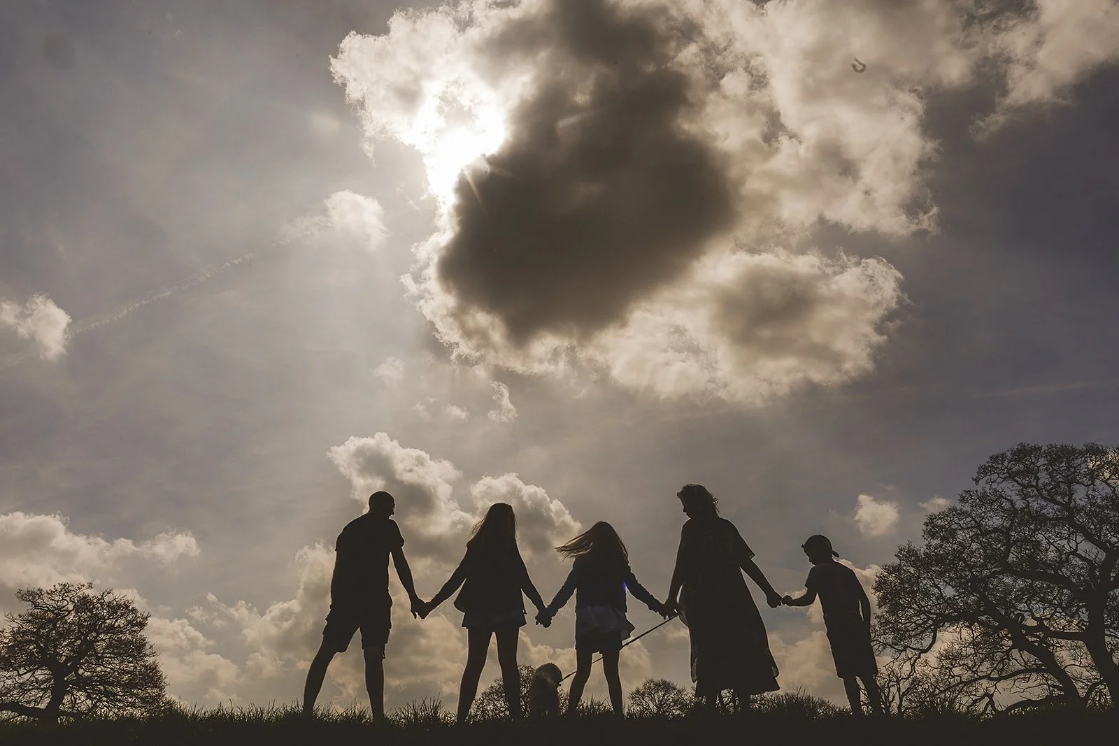 Silhouettes of five people, two children and three adults, holding hands in a circle outdoors with trees and cloudy sky in the background.