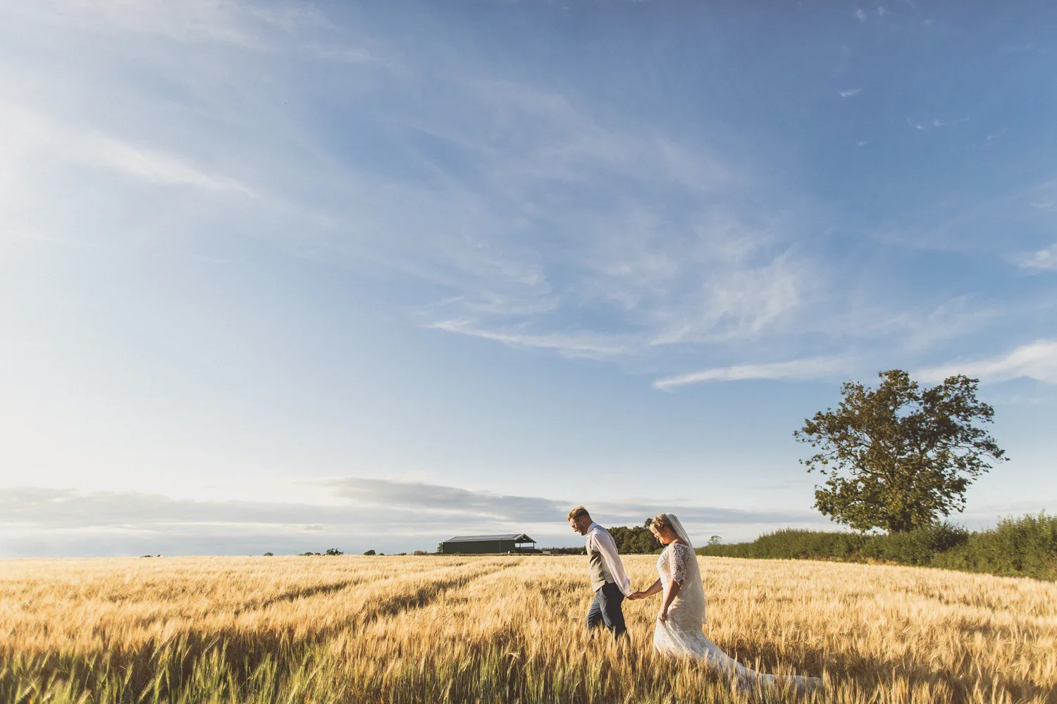 A couple in wedding attire walking hand-in-hand through a golden wheat field under a blue sky with scattered clouds, with a large tree and a distant barn in the background.