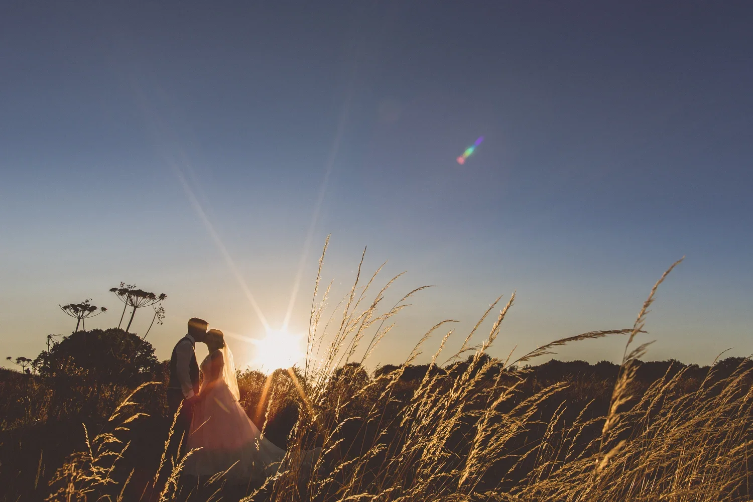 Couple in wedding attire kissing in a field at sunset with tall grasses and silhouettes of trees in the background.
