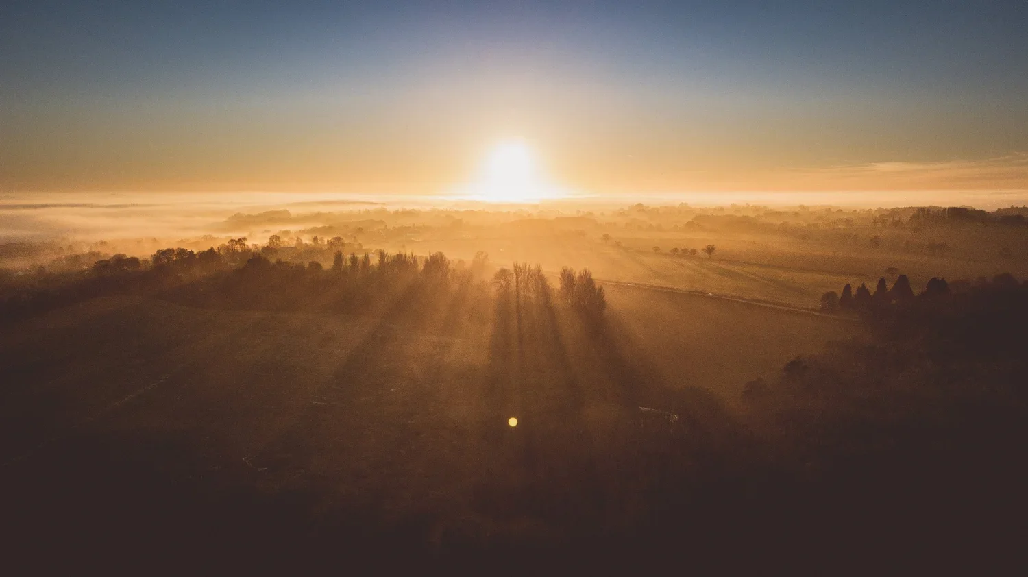 Sunrise over a landscape with fields and trees, with long shadows cast on the ground.