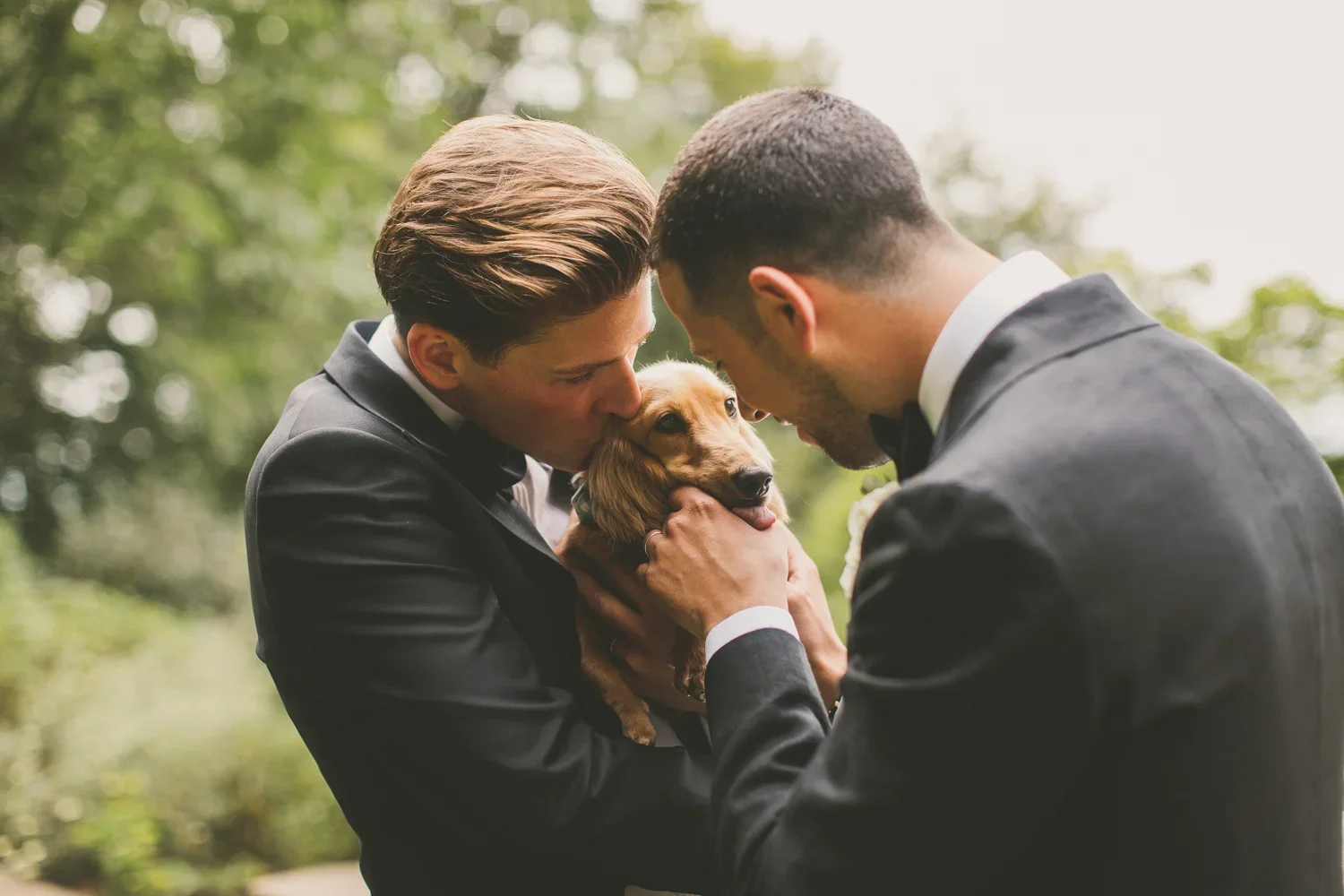 Two men in tuxedos holding a golden retriever puppy between them, touching foreheads in an outdoor setting with blurred trees in the background.