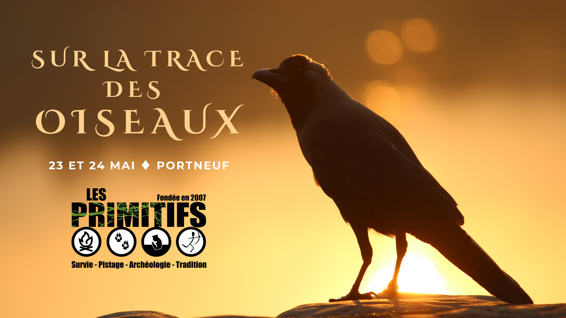 Sur la trace des oiseaux (St-Raymond)