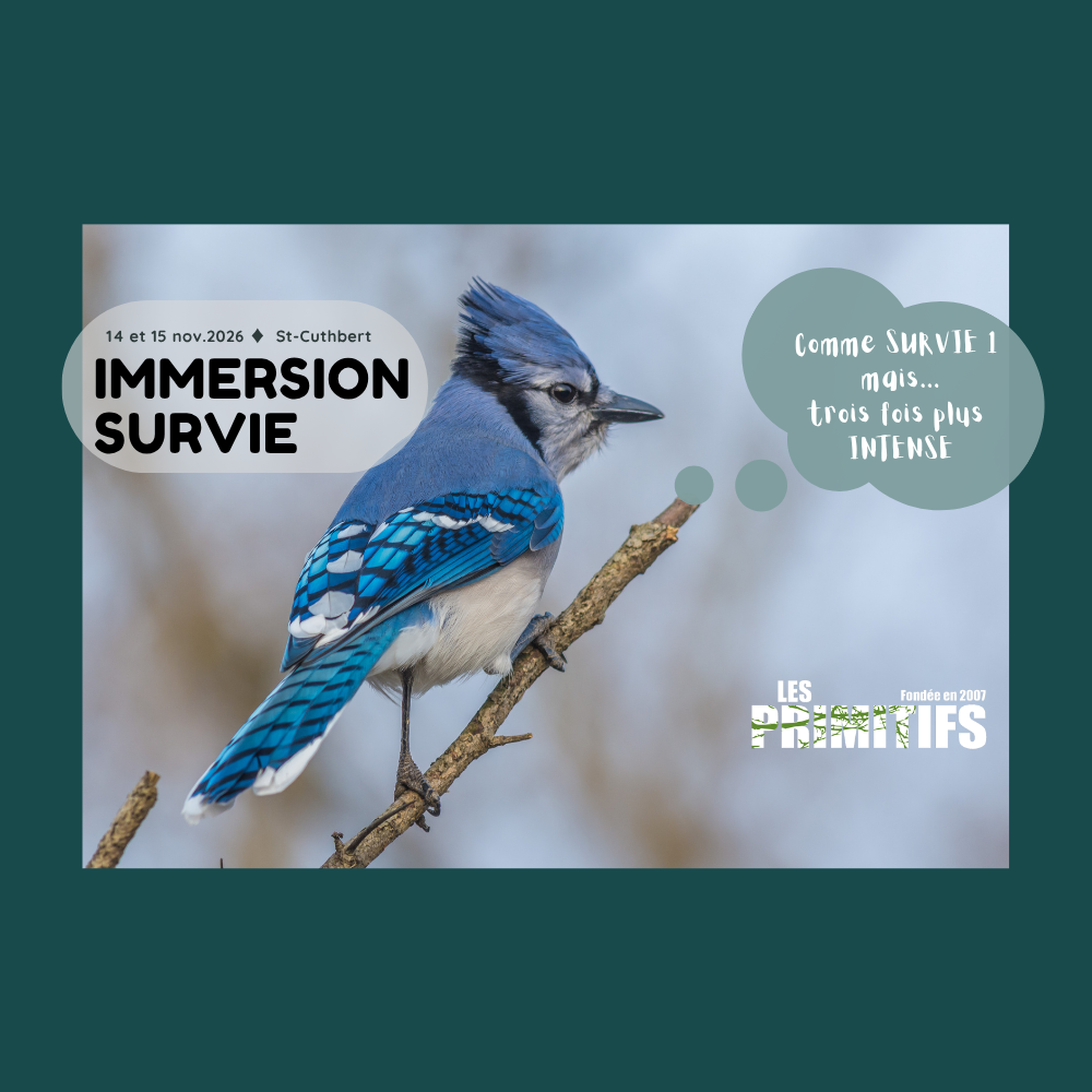 _Immersion nov 2026 St-Cuthbert (1000 x 1000 px).png