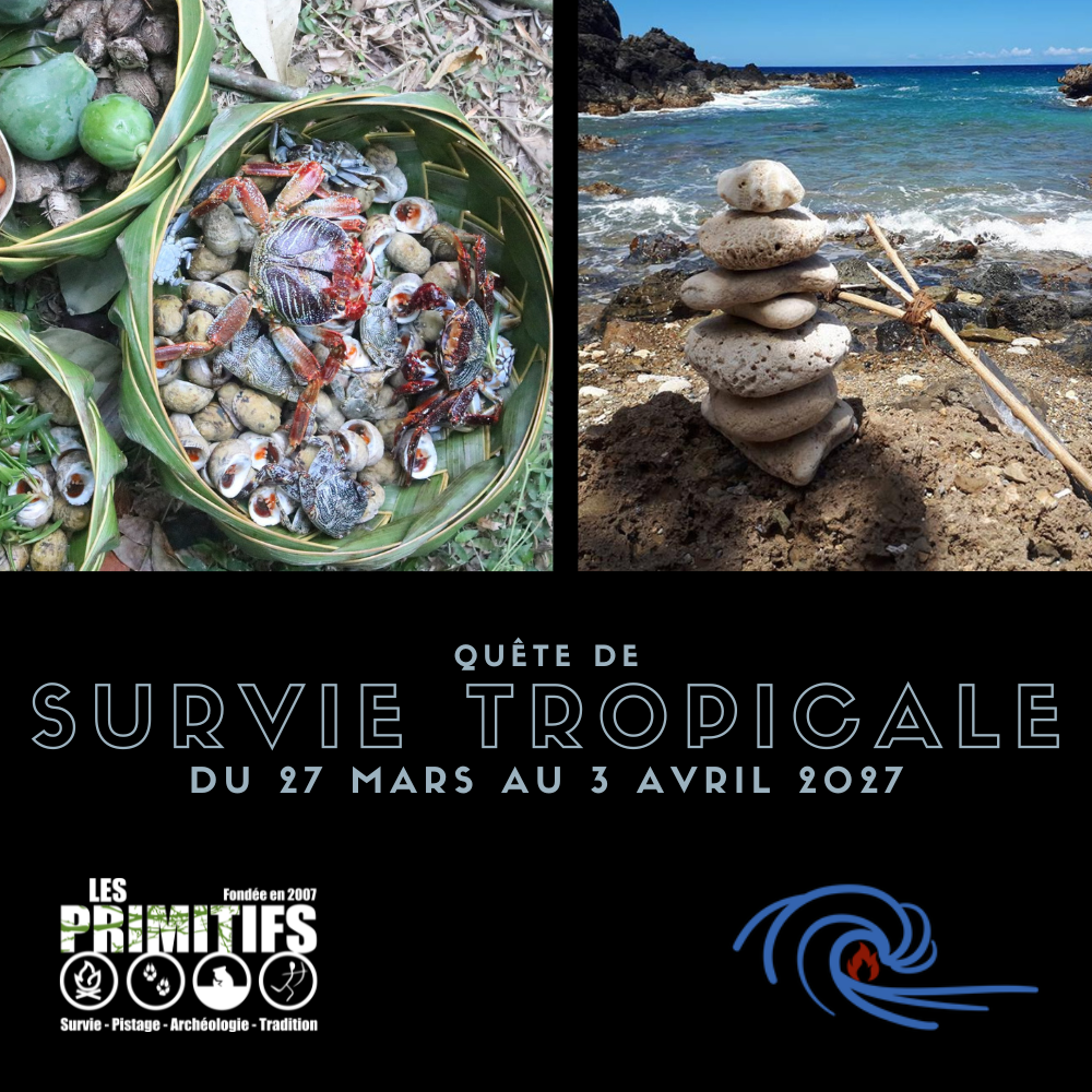 Survie tropicale 2027 (1000 x 1000 px).png