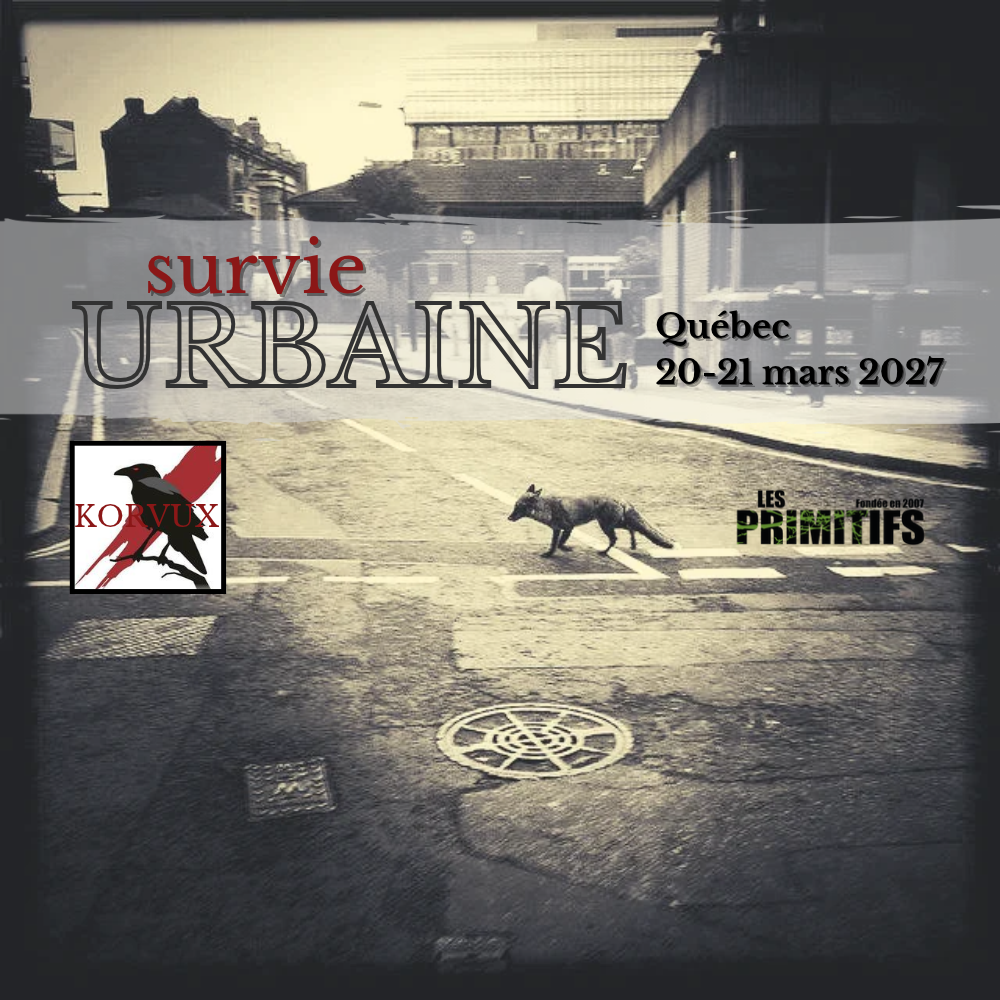 Survie Urbaine mars 2027 (1000 x 1000 px).png