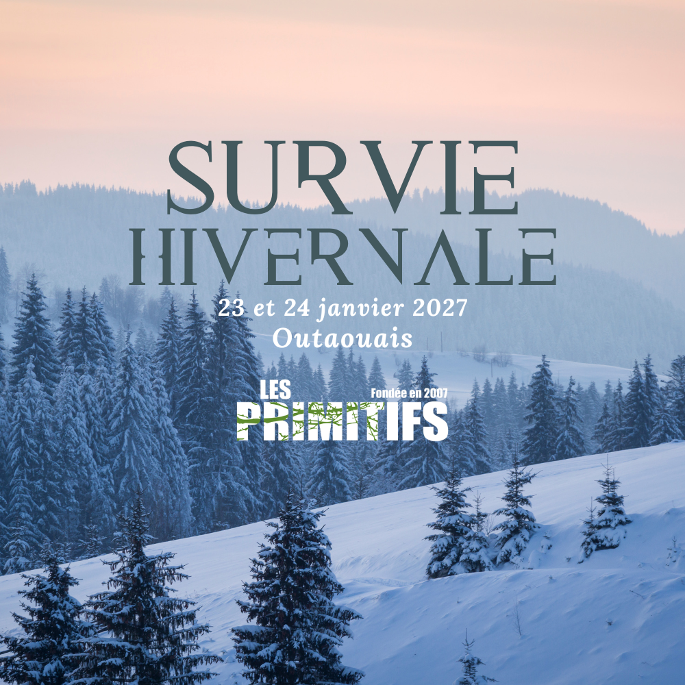 Survie hiver janvier 2027 outaouais (1000 x 1000 px).png