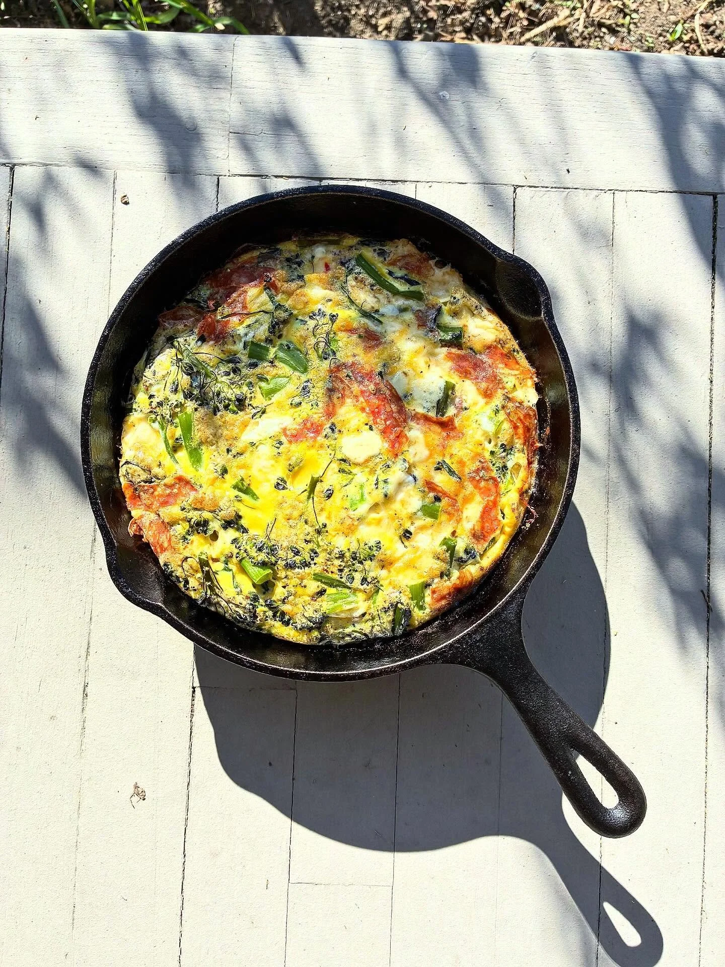 Aries season got me dizzay 😵&zwj;💫
🥦Broccolini, goat cheddar &amp; salami frittata
🌭Nothing prettier than a moonrise over @badninasphilly 
🍝Soba Noodles with Cabbage &amp; Fried Almonds, recipe from Mastering the Art of Plant-Based Cooking by @j