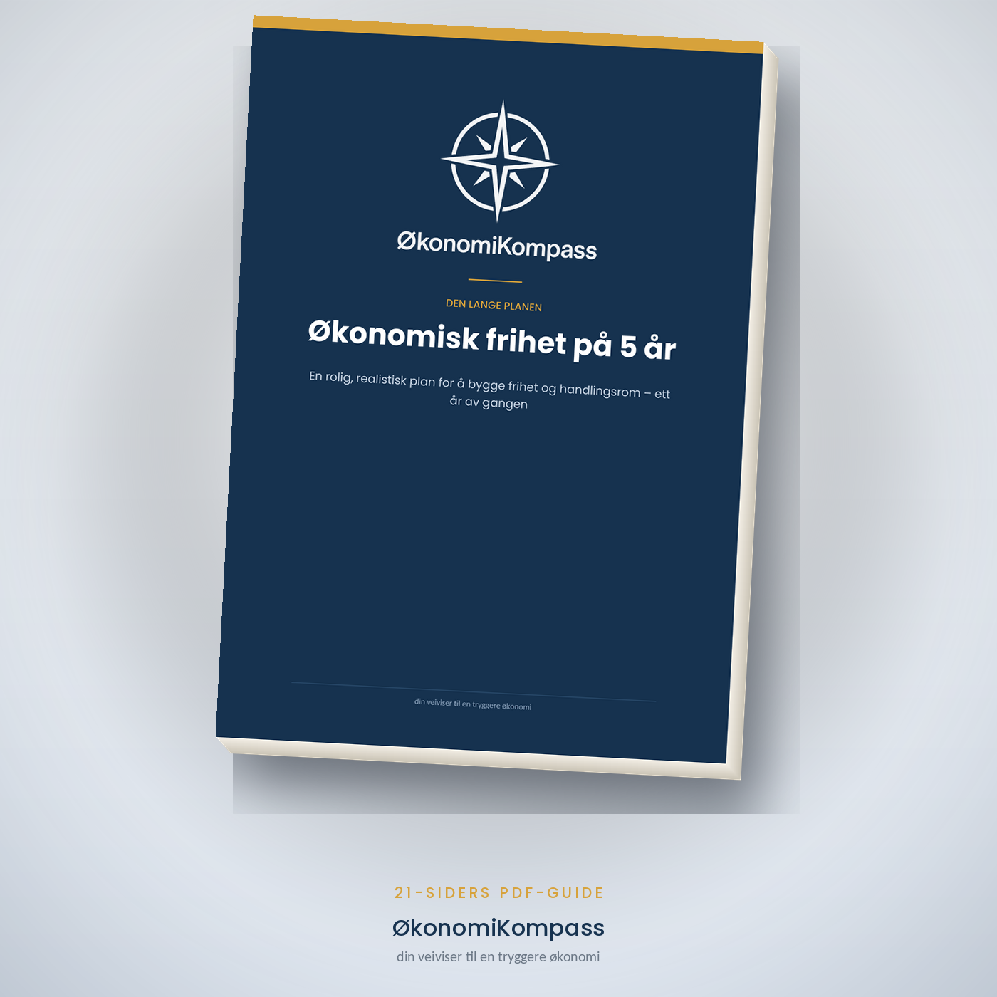 Økonomisk frihet på 5 år