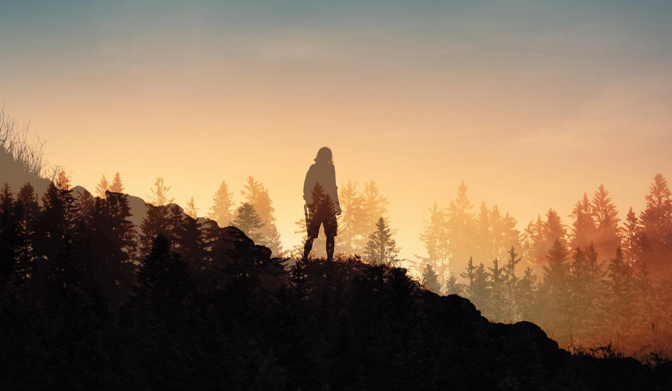 En silhuett av en person som står på en skogkledd ås ved solnedgang eller soloppgang, omgitt av trær.