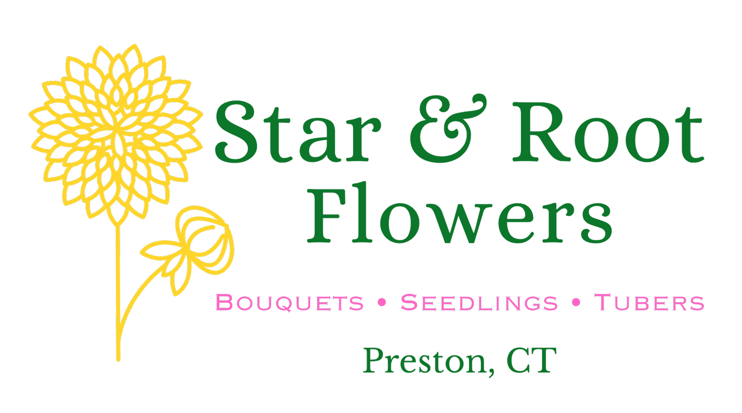 Star &amp; Root Flowers