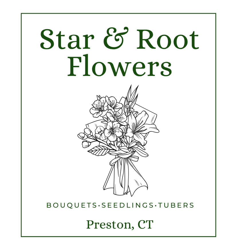 Star &amp; Root Flowers