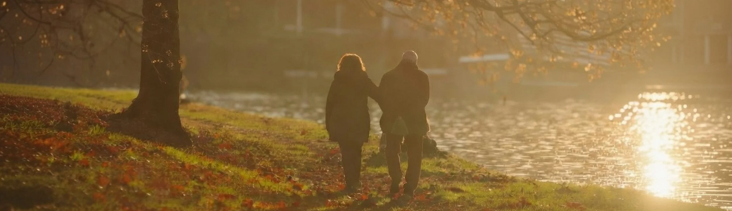 Comprehensive Estate Planning, Elder Law, and Special Needs Planning in Missouri - Tallent Legal Solutions