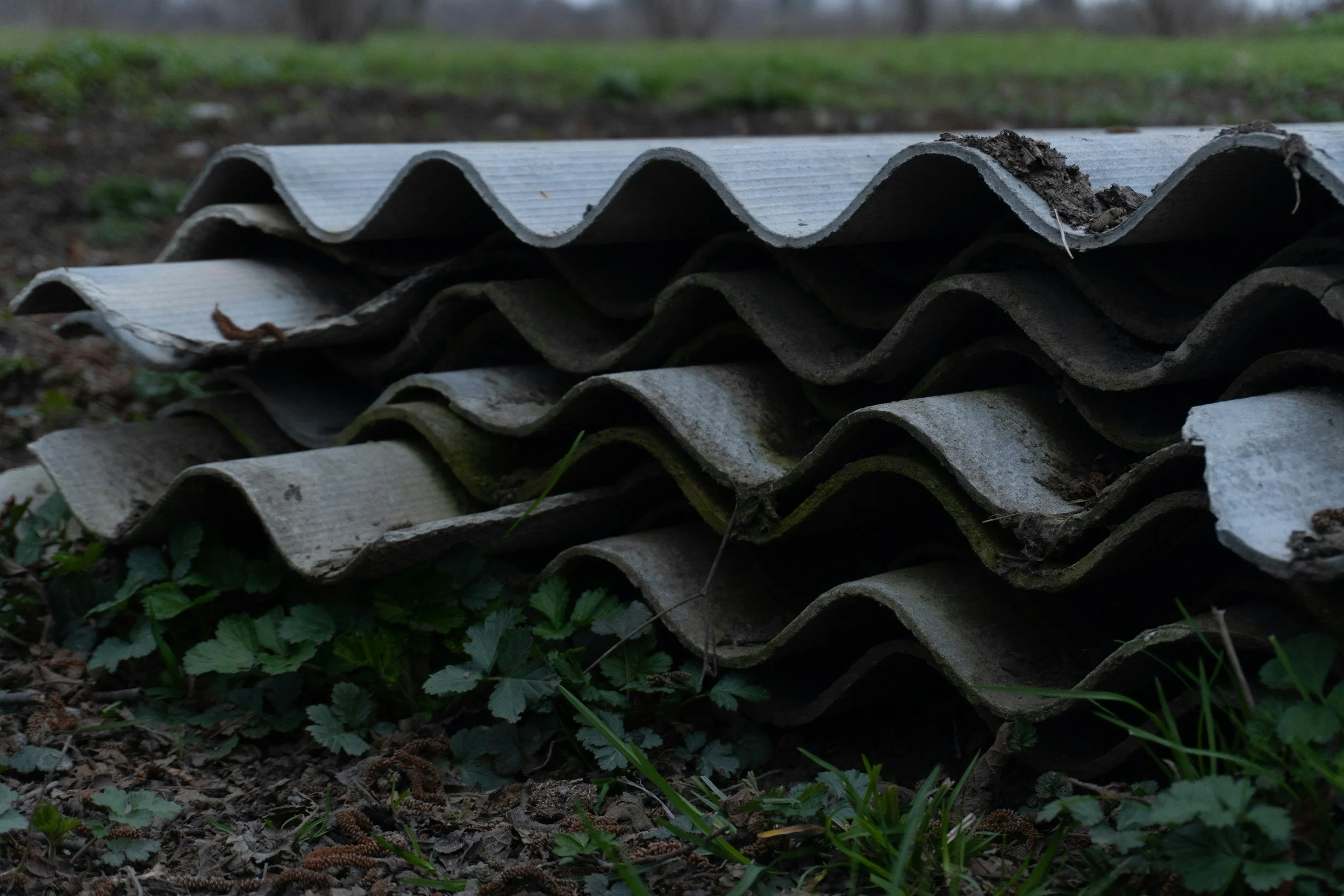 corrugated iron sheets