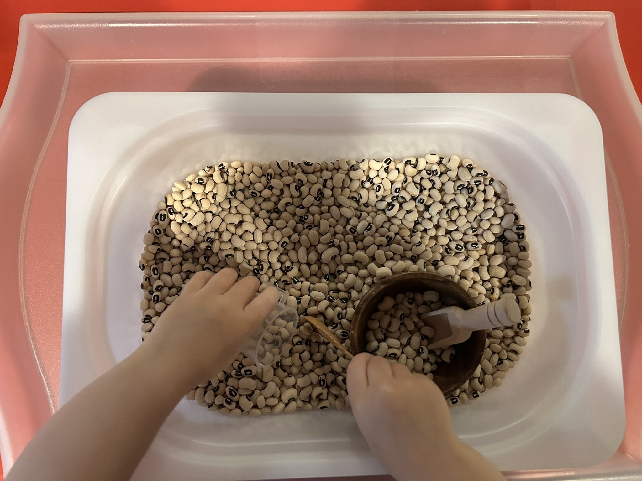 Sensory box at Beaumont Children's Center bilingual Chinese preschool in Portland, Oregon