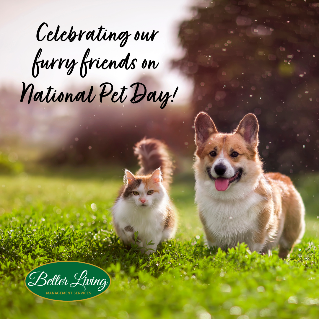 NationalPetDay.png