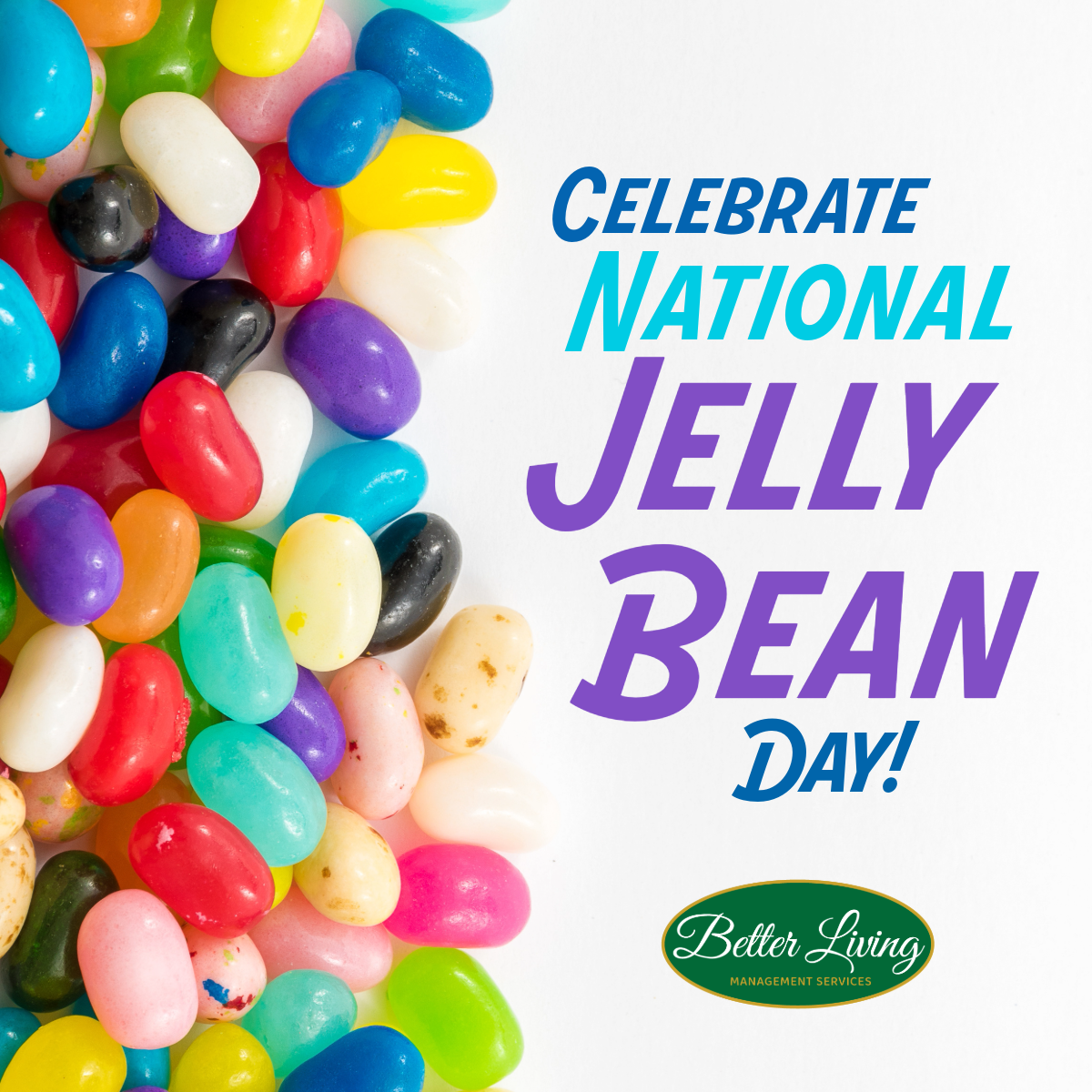 JellyBeanDay.png