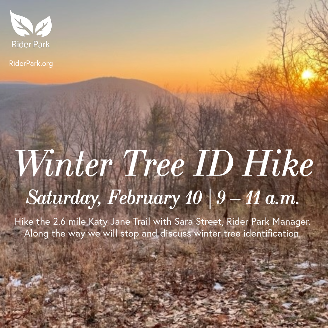 RiderPark_HikeTreeID-2.png