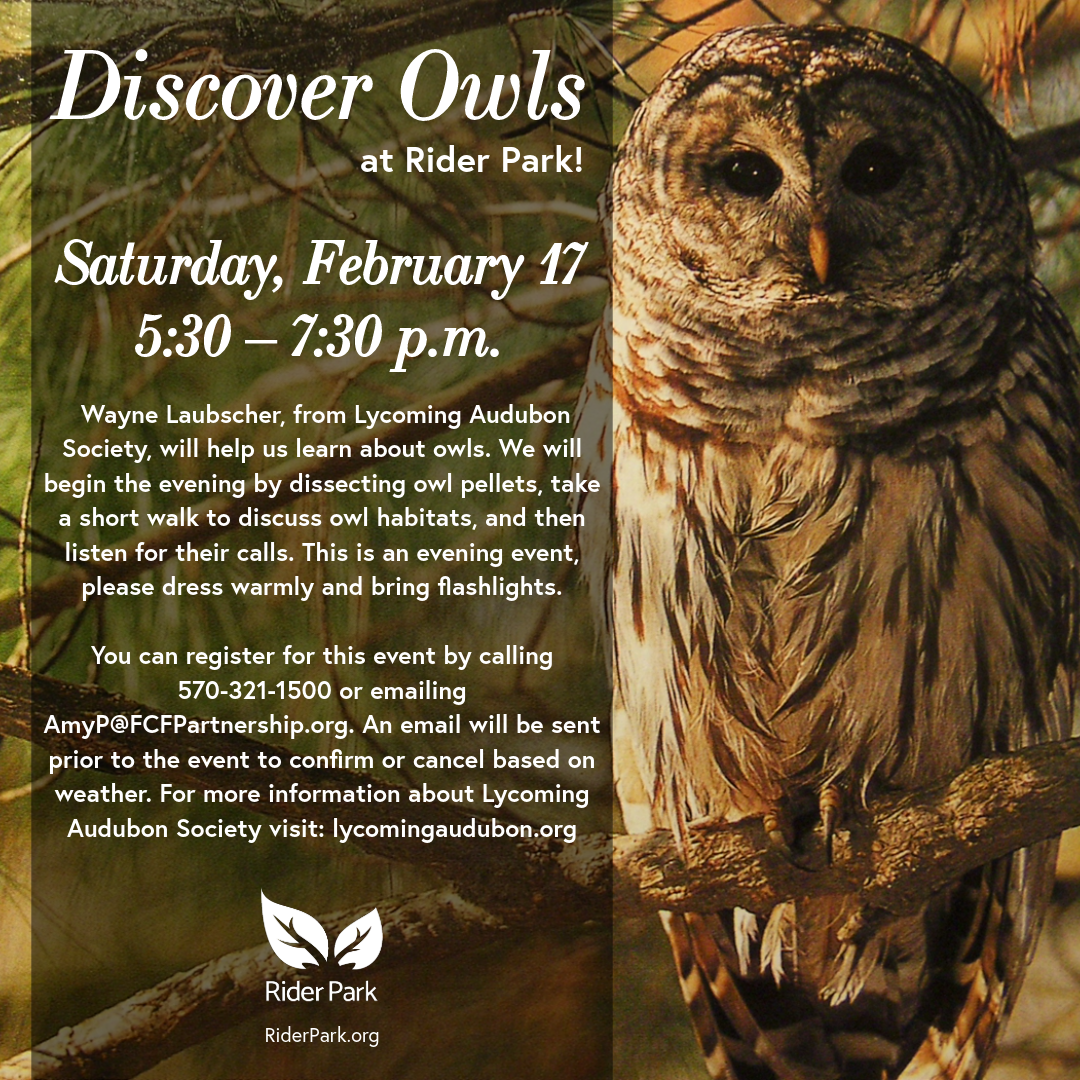 RiderPark_DiscoverOwls-1.png