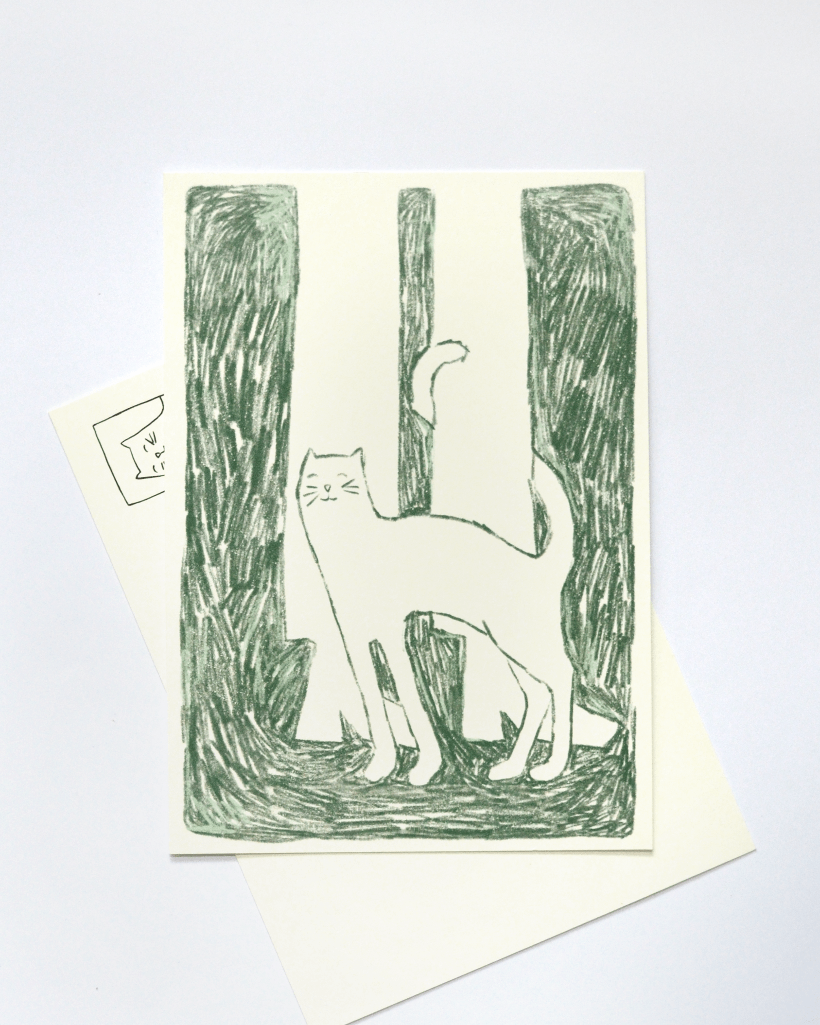 CATS voor-achterkant.png