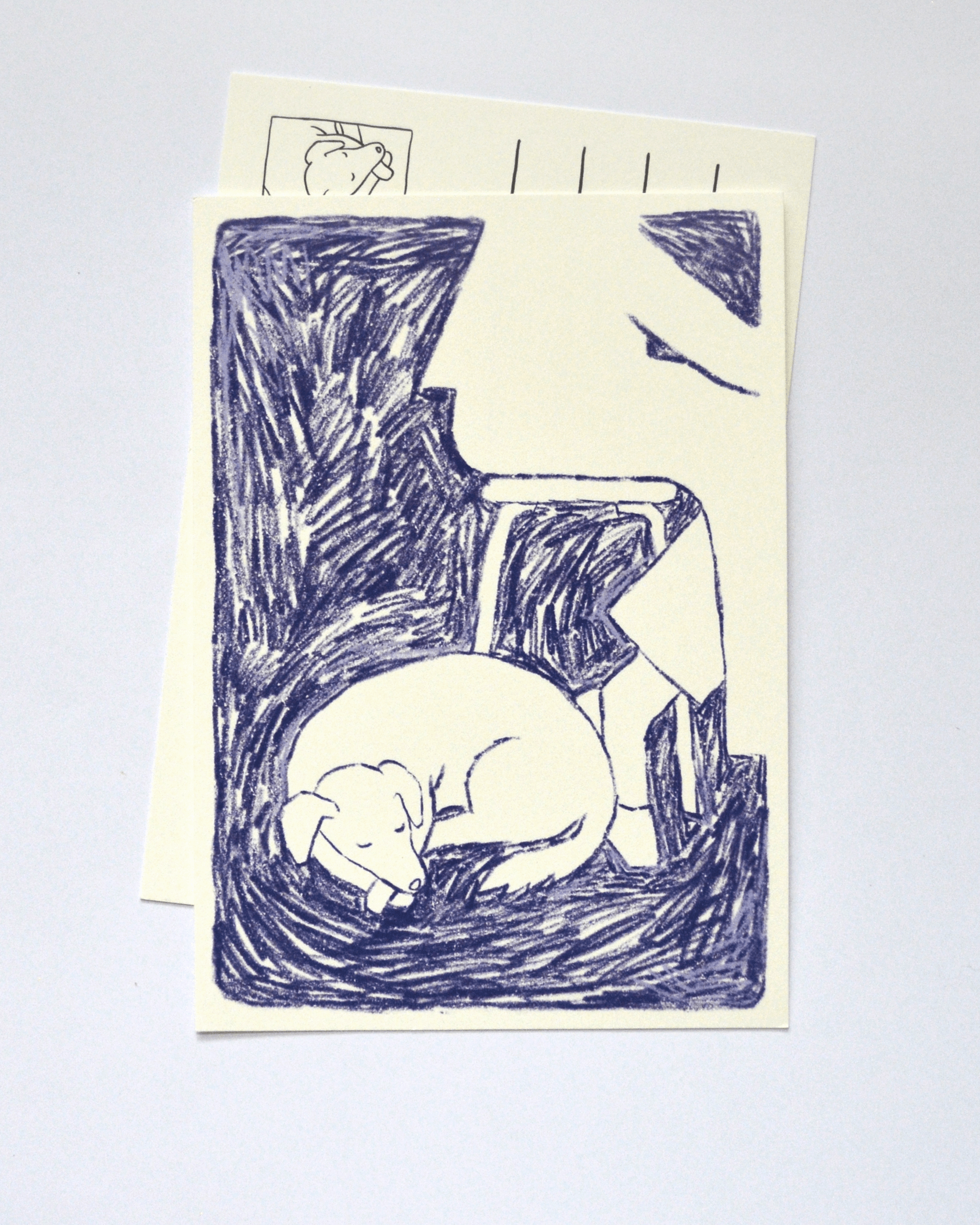 DOGS voor-achterkant.png