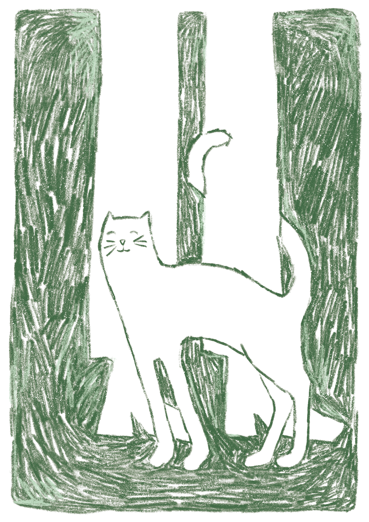 Cats and legs