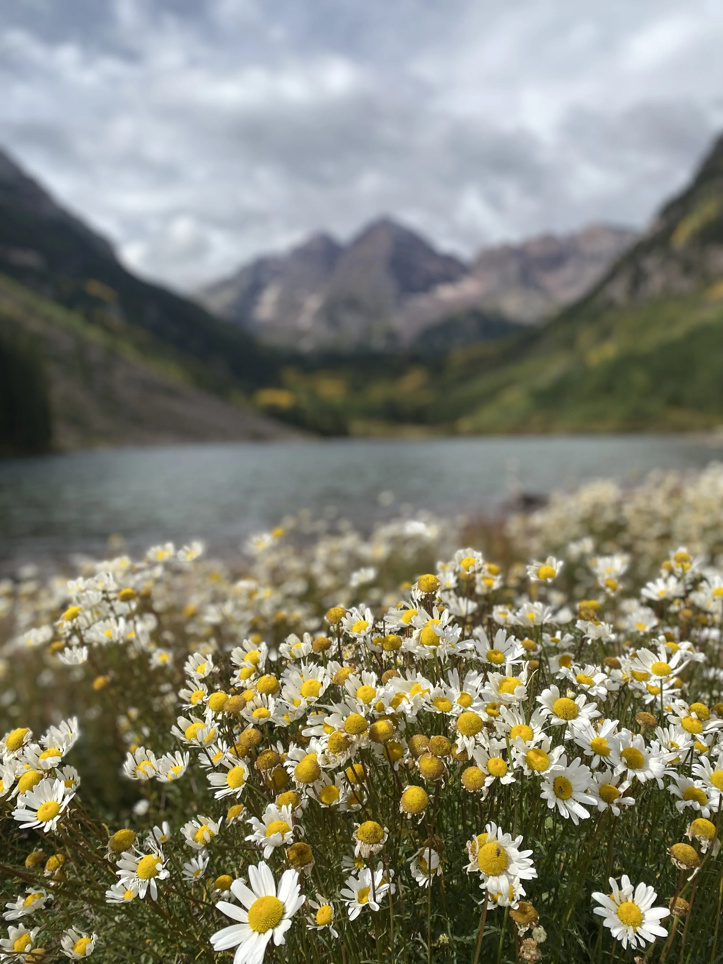 Scenic Aspen, Colorado mountain landscape representing elevated lifestyle and concierge services in the Roaring Fork Valley.