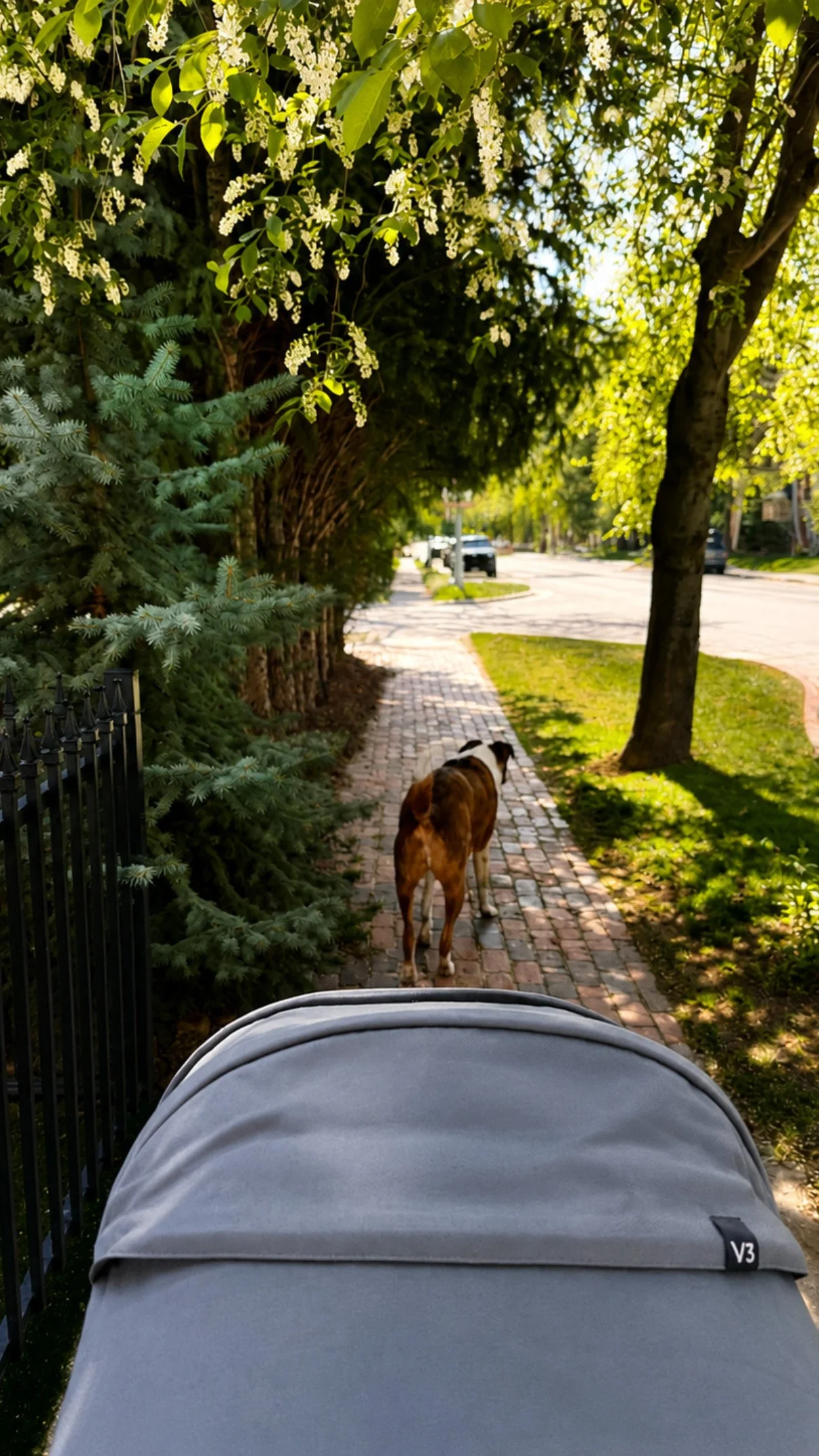 Family-friendly concierge lifestyle in Aspen, Colorado with thoughtful local support and outdoor living accommodations.