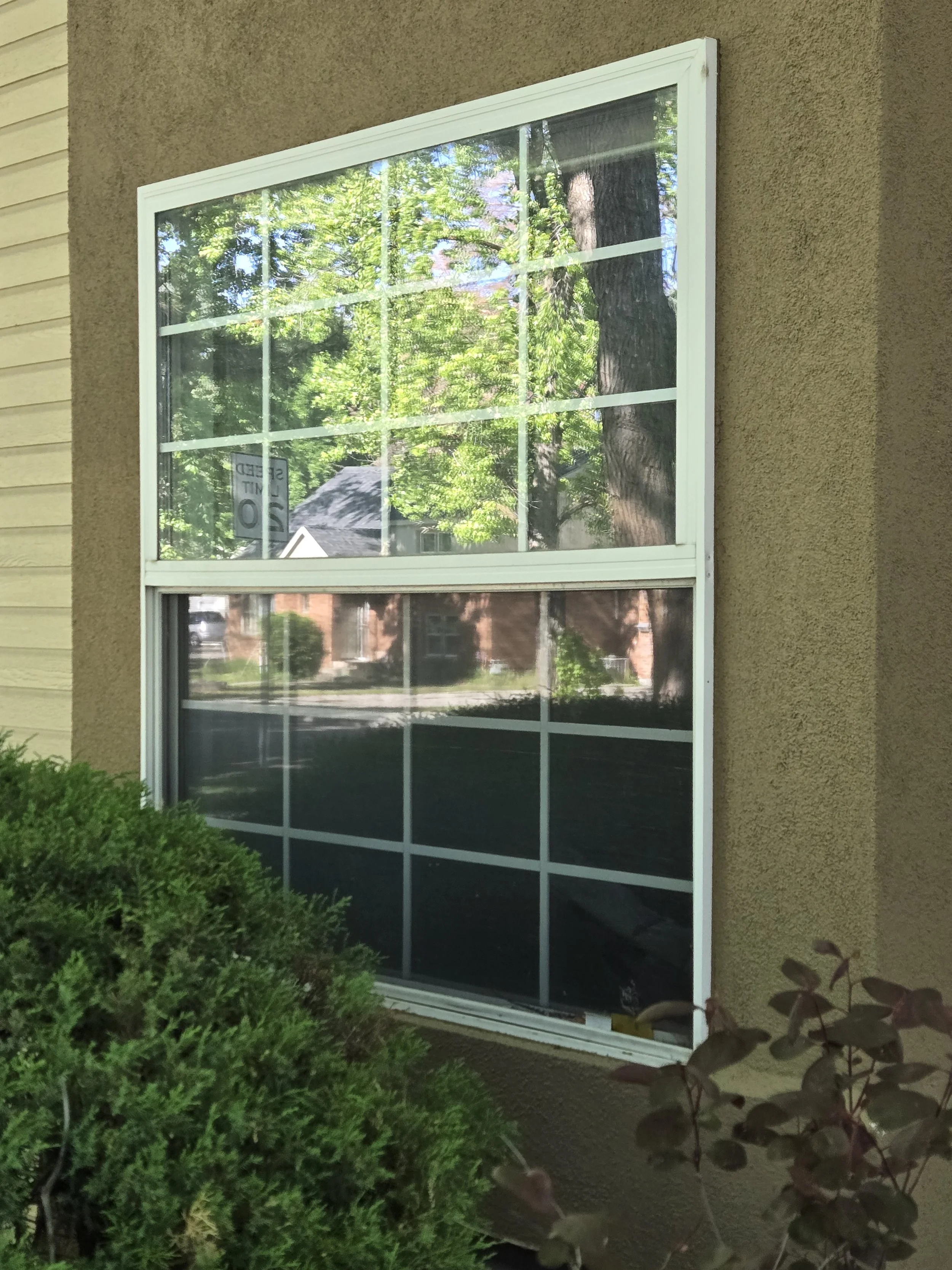 A large window with white frame on a beige exterior wall, reflecting the trees and neighborhood outside.
