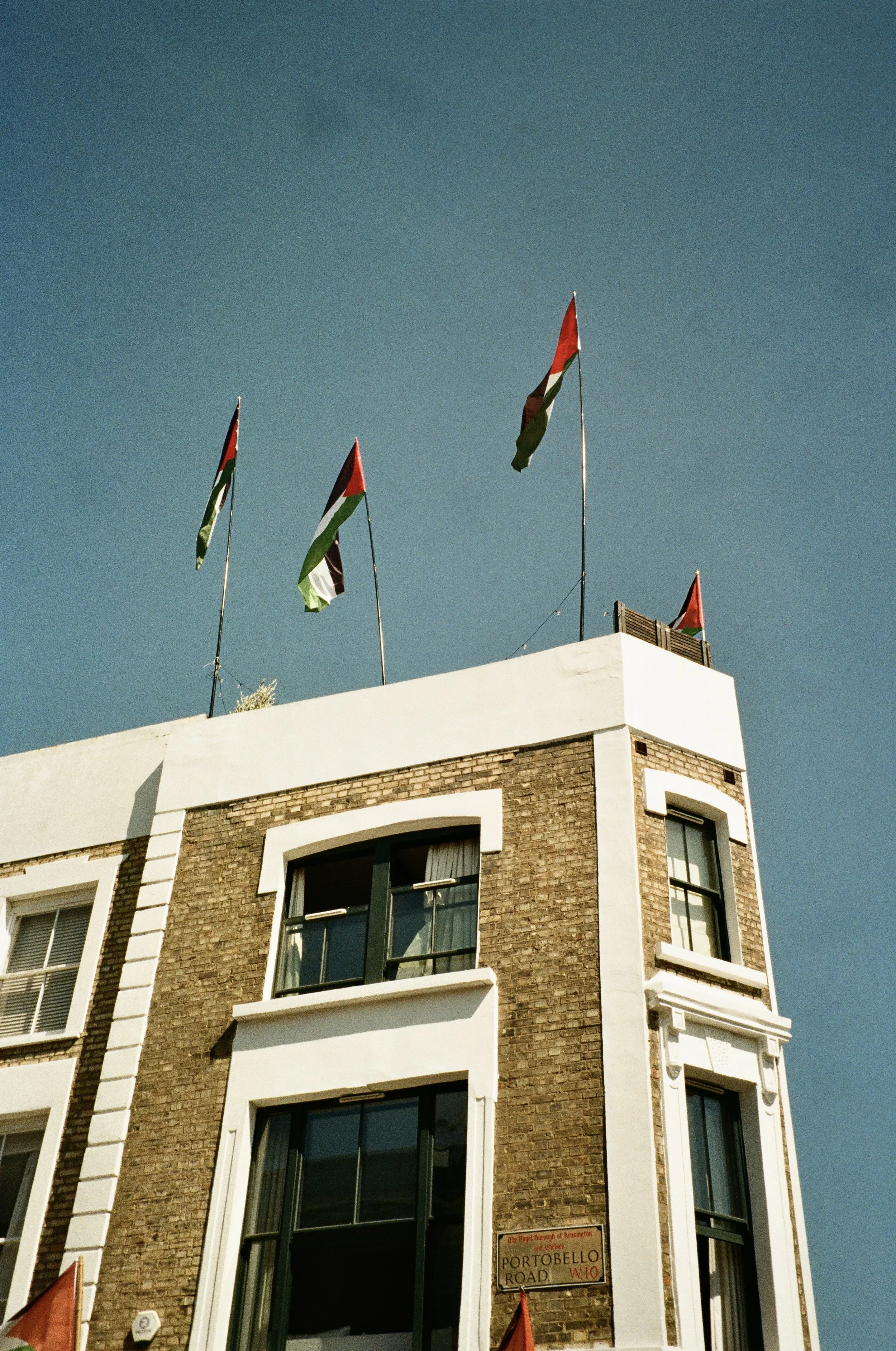 IMG_7871.jpg